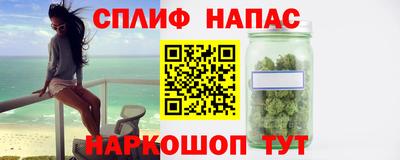 стафф Славгород