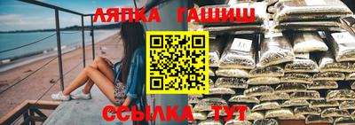 стафф Славгород