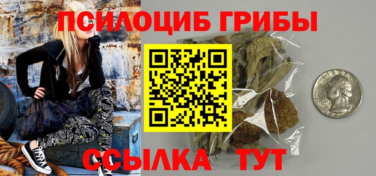 Галлюциногенные грибы Psilocybe Оренбург